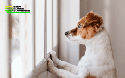 Child and Pet Safety in Window Treatment Selection