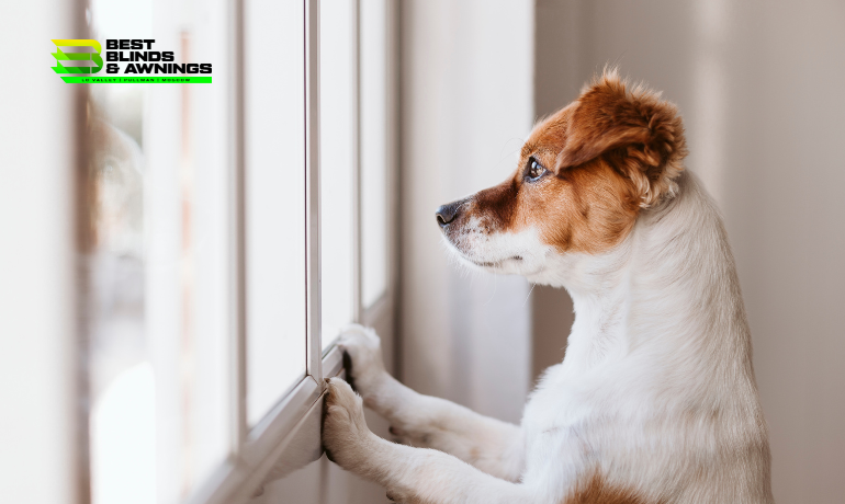 Child and Pet Safety in Window Treatment Selection