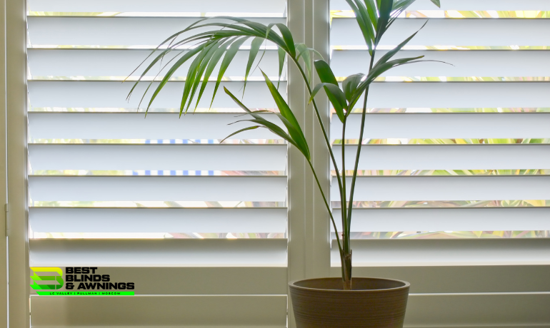 Choosing the Right Window Treatments for Each Room
