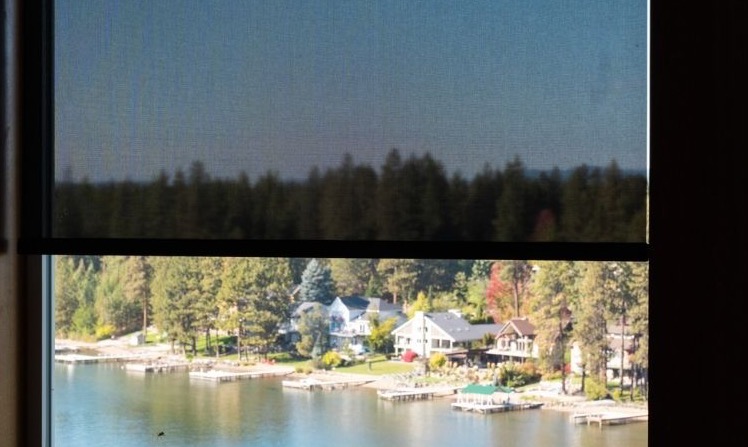 Protecting Your Views: Sheer Silhouette Blinds and Solar Screens